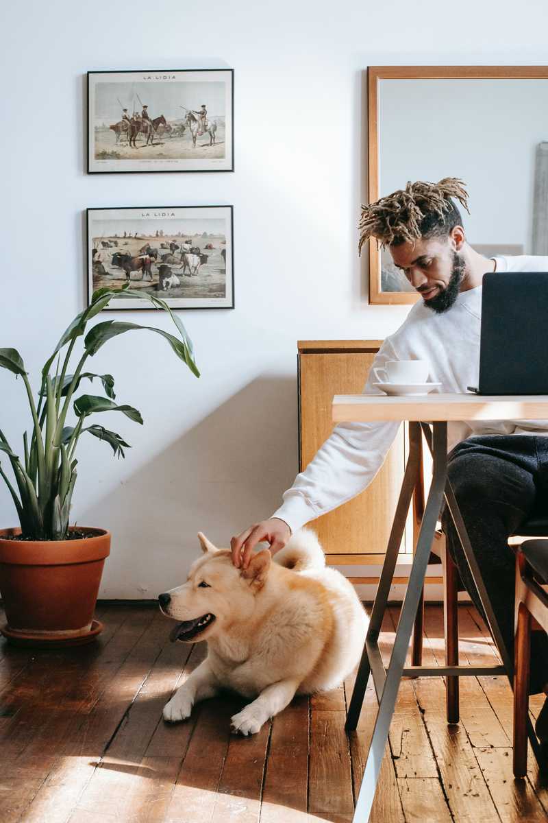 Jeune homme devant son ordinateur, caressant son chien